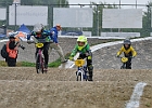 921H6775 bmx-tc-11-9-21
